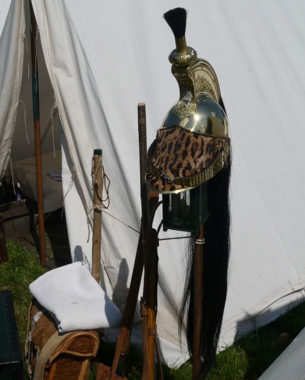 p1000772tentededragon.jpg